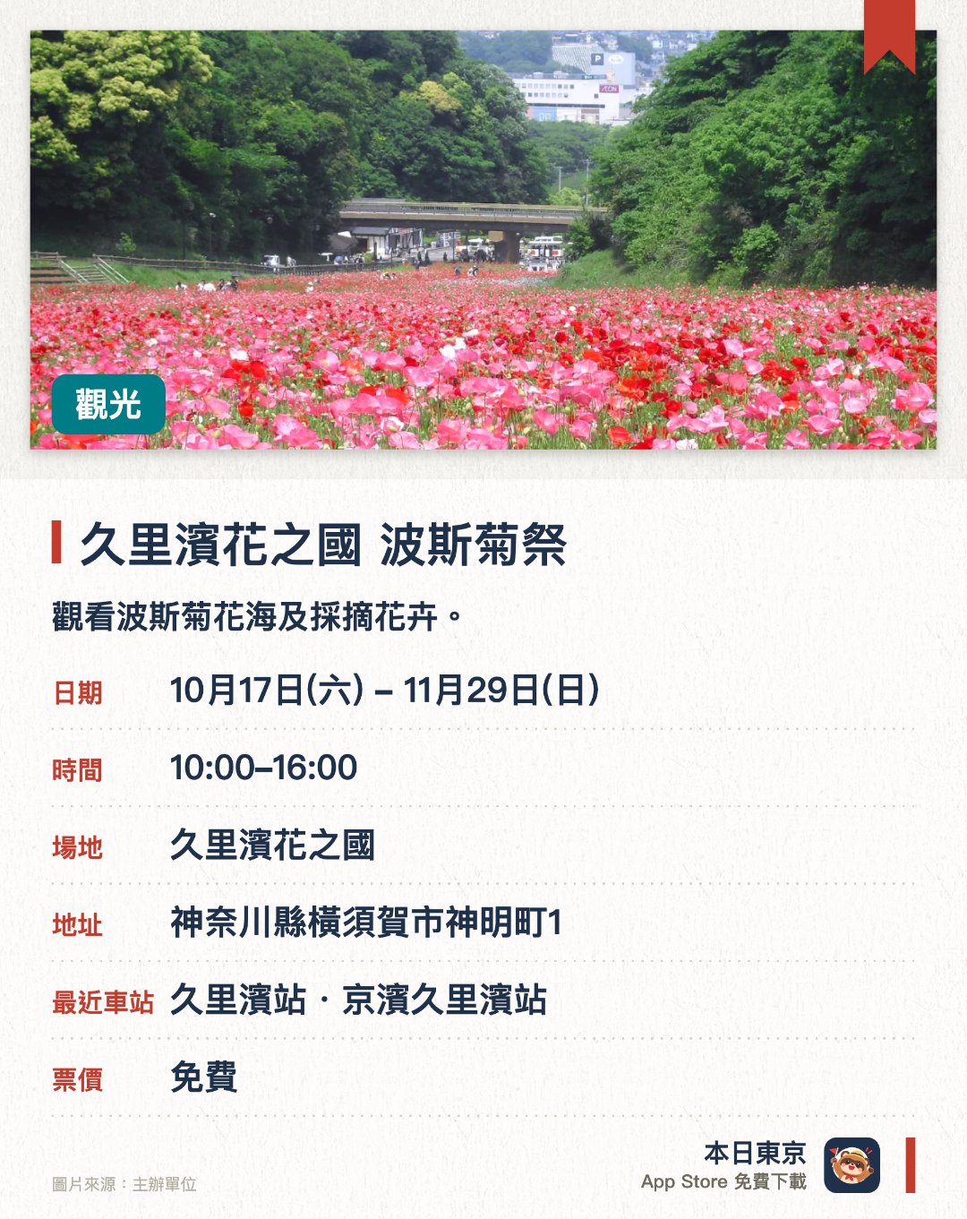 久里濱花之國　波斯菊祭。10月17日–11月29日 · 久里濱花之國。觀看波斯菊花海及採摘花卉。。採花活動只限 11 月 28–29 日 13:00–15:00。