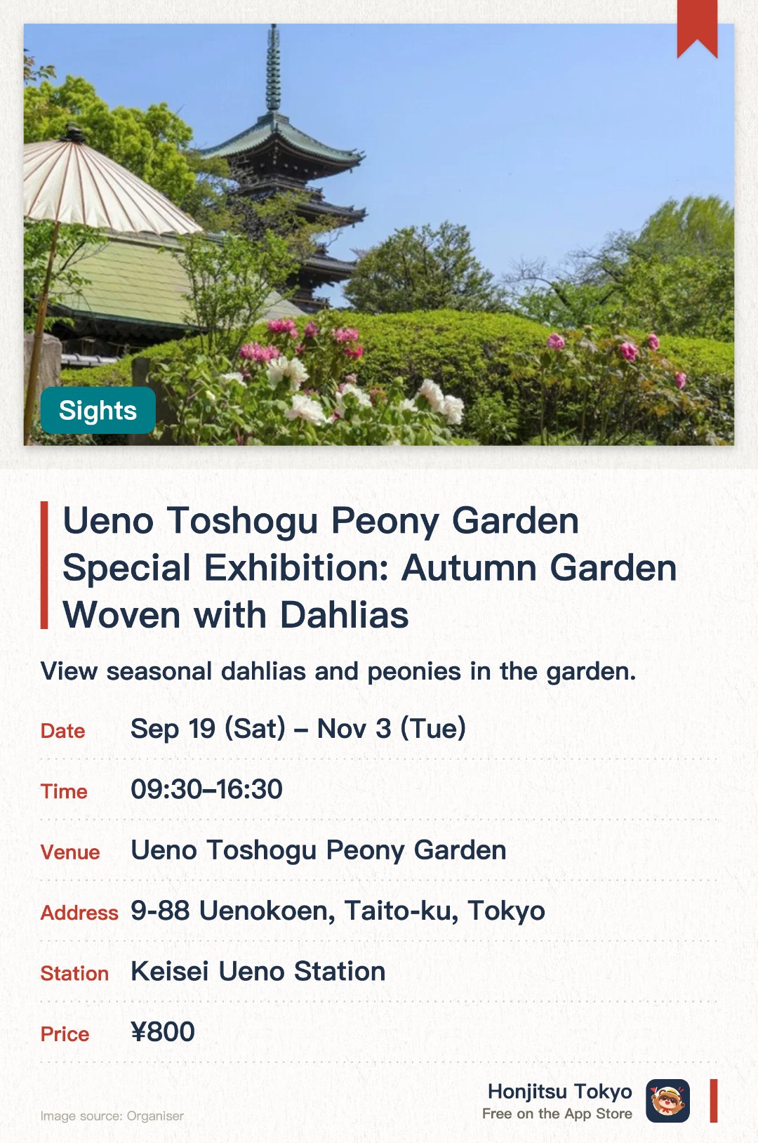 Ueno Toshogu Peony Garden Special Exhibition: Autumn Garden Woven with Dahlias. 19 Sep–3 Nov · Ueno Toshogu Peony Garden. View seasonal dahlias and peonies in the garden.. Seasonal garden display; visit at the right time for peak blooms.
