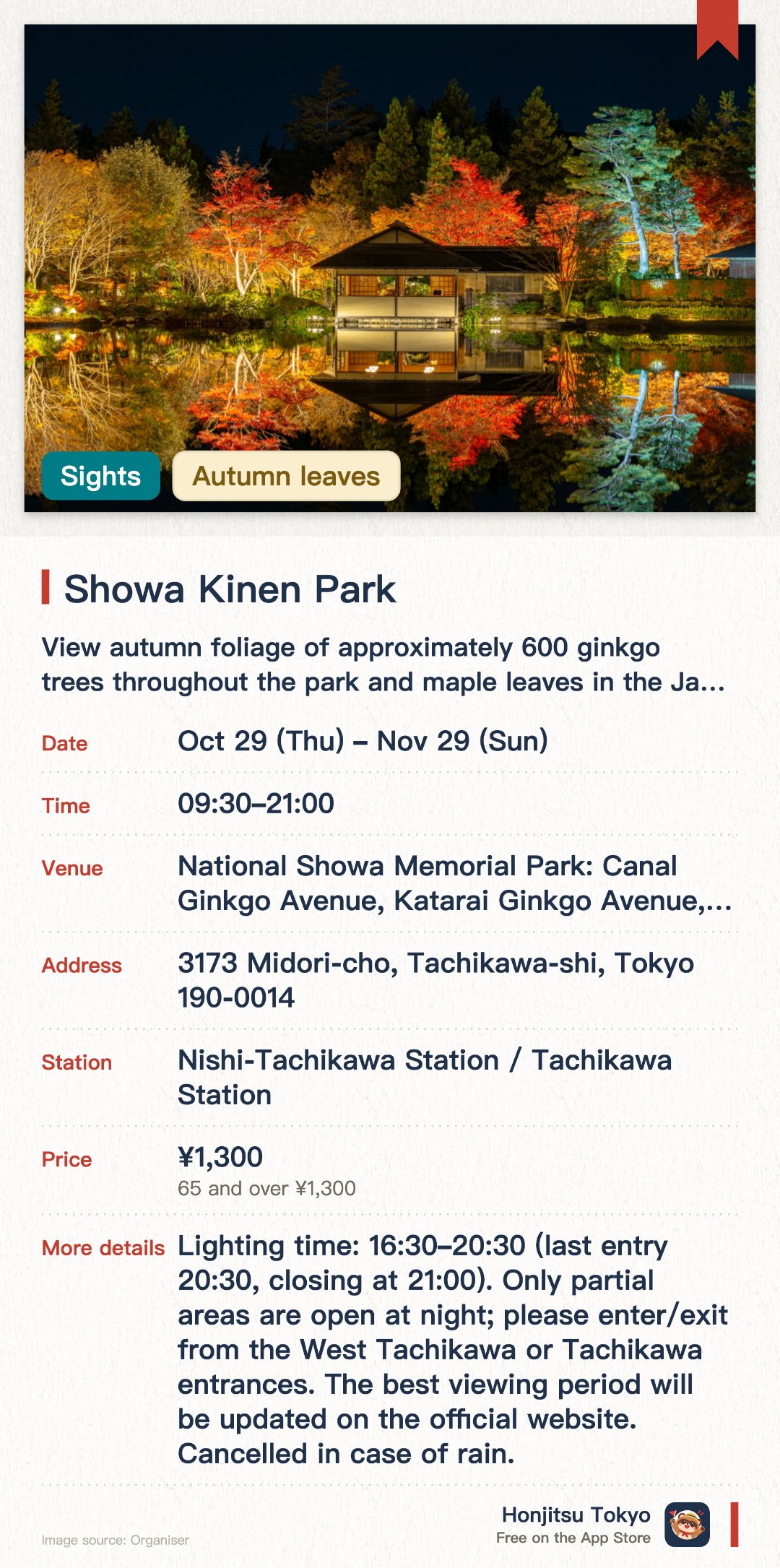 Showa Memorial Park. 1 Nov–29 Nov · National Showa Memorial Park: Canal Ginkgo Avenue, Katarai Ginkgo Avenue, Japanese Garden, and others. View autumn foliage of approximately 600 ginkgo trees throughout the park and maple leaves in the Japanese garden; illuminated evening walks available.. The evening event is called 'Autumn Night Walk'.
