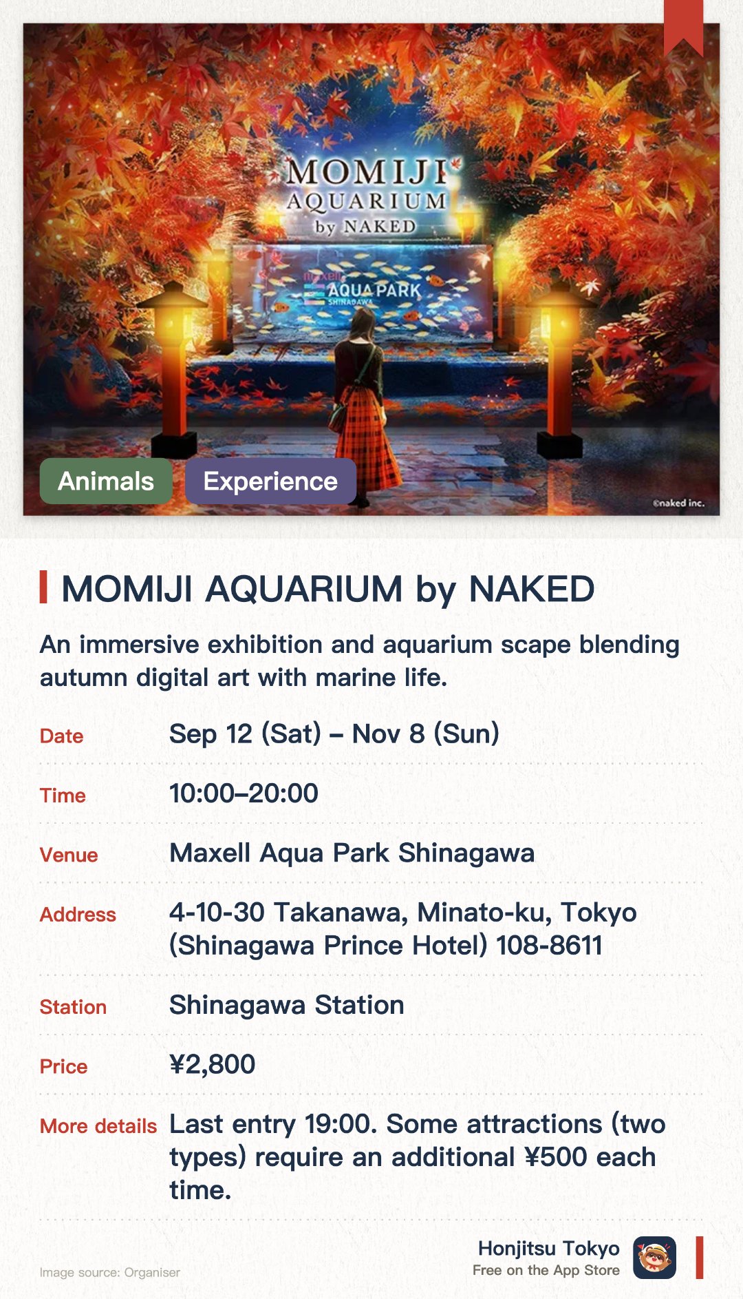 MOMIJI AQUARIUM by NAKED. 12 Sep–8 Nov · Maxell Aqua Park Shinagawa. An immersive exhibition and aquarium scape blending autumn digital art with marine life. Jellyfish illuminated by Japanese instruments and lights, featuring distinct day and night dolphin performances. The cafe offers specialty drinks incorporating seasonal autumn ingredients