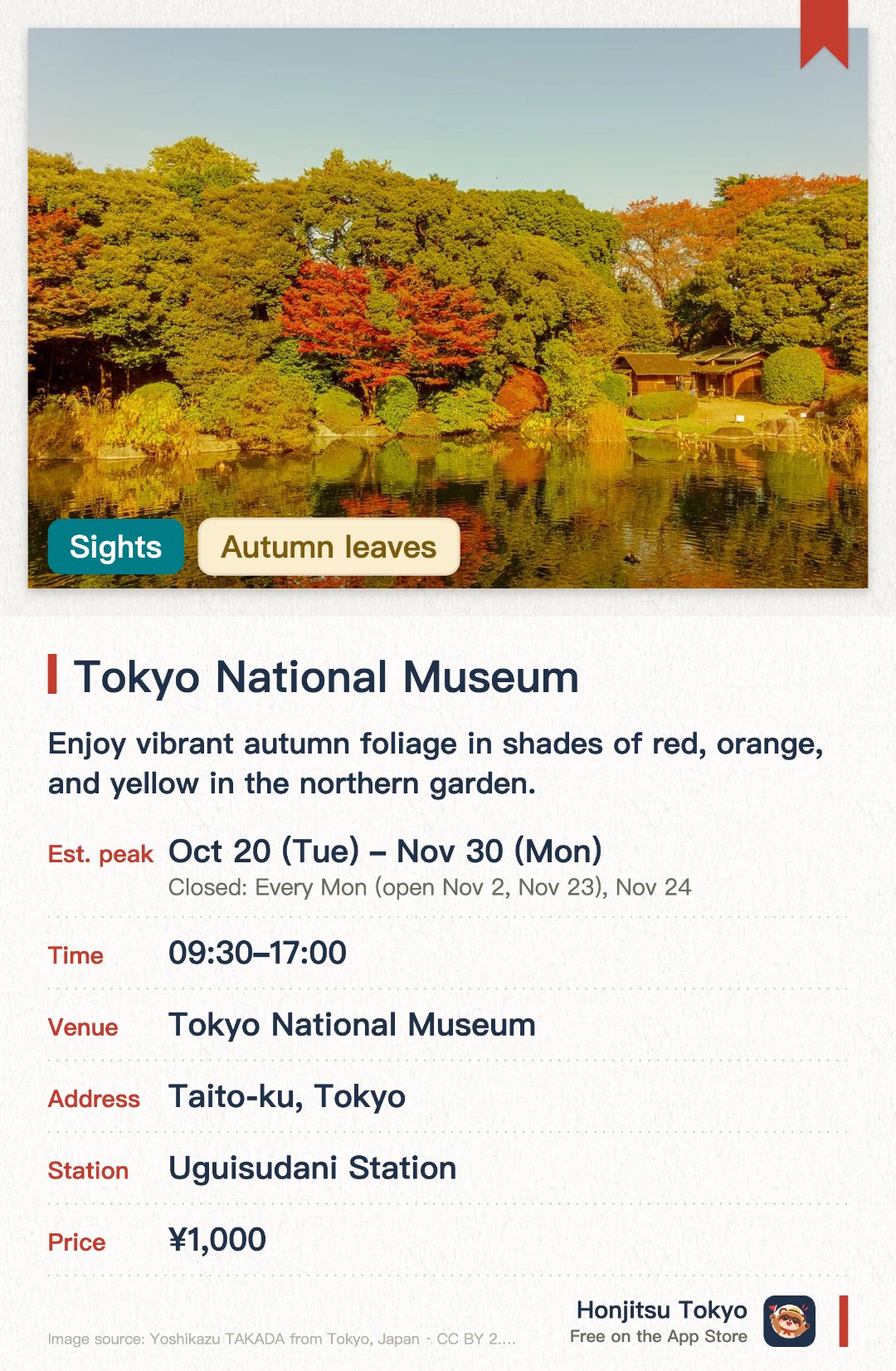 Tokyo National Museum. 20 Oct–30 Nov · Tokyo National Museum. Enjoy vibrant autumn foliage in shades of red, orange, and yellow in the northern garden. Admire historic teahouses by the pond, featuring autumn reflections and visiting wild birds