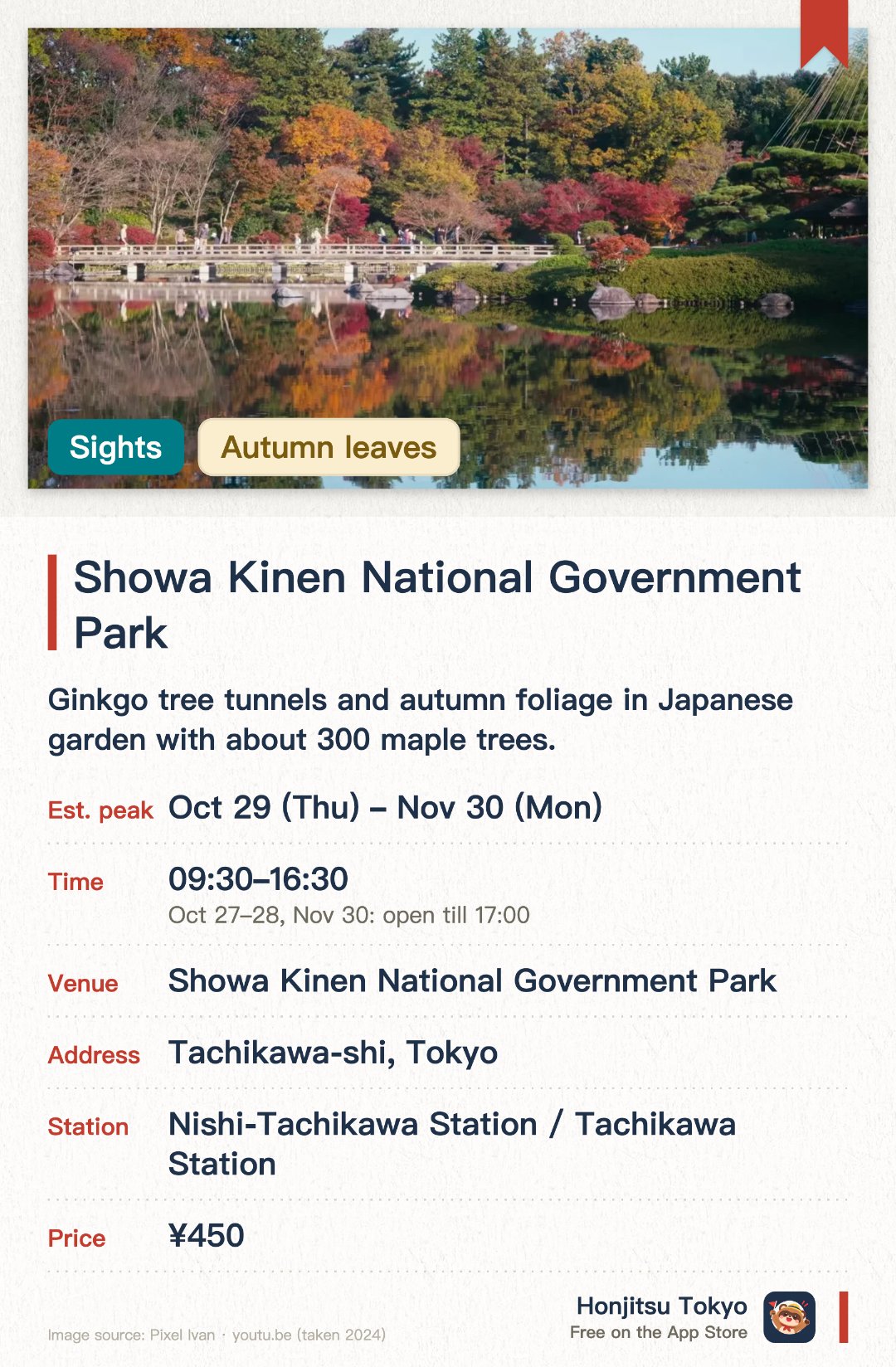 Showa Kinen National Government Park. 1 Nov–30 Nov · Showa Kinen National Government Park. Ginkgo tree tunnels and autumn foliage in Japanese garden with about 300 maple trees.. Autumn leaves festival runs from late October to late November.. Evening light-up Oct 29–Nov 29, 16:30–21:00.