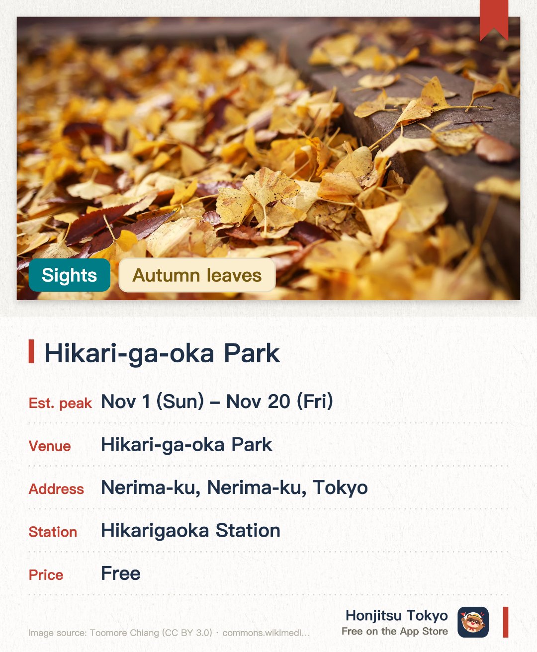 Hikari-ga-oka Park. 6 Nov–20 Nov · Hikari-ga-oka Park. The expansive park featuring abundant nature transforms into a vibrant destination for autumn foliage. A 200-meter avenue lined with 28 uniform ginkgo trees creates a stunning, glowing golden tunnel