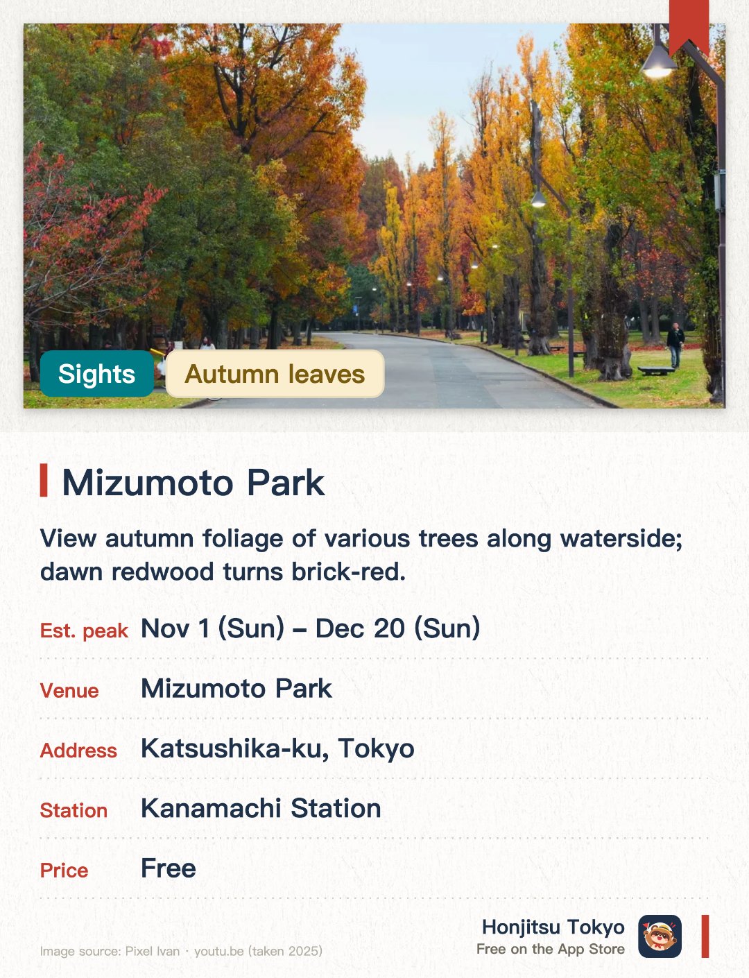 Mizumoto Park. 6 Nov–20 Dec · Mizumoto Park. View autumn foliage of various trees along waterside; dawn redwood turns brick-red.. One of Tokyo's largest wetland parks.