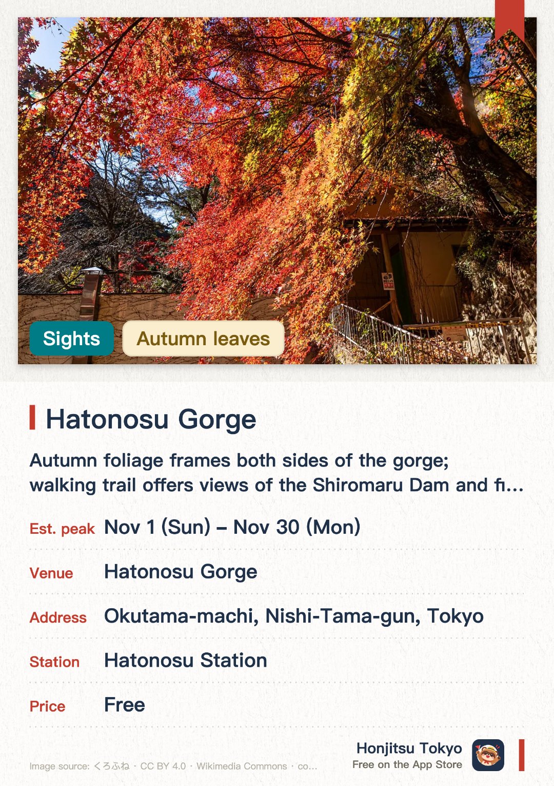 Hatonosu Gorge. 1 Nov–30 Nov · Hatonosu Gorge. Autumn foliage frames both sides of the gorge; walking trail offers views of the Shiromaru Dam and fish passage.. Check opening dates of fish passage beforehand.