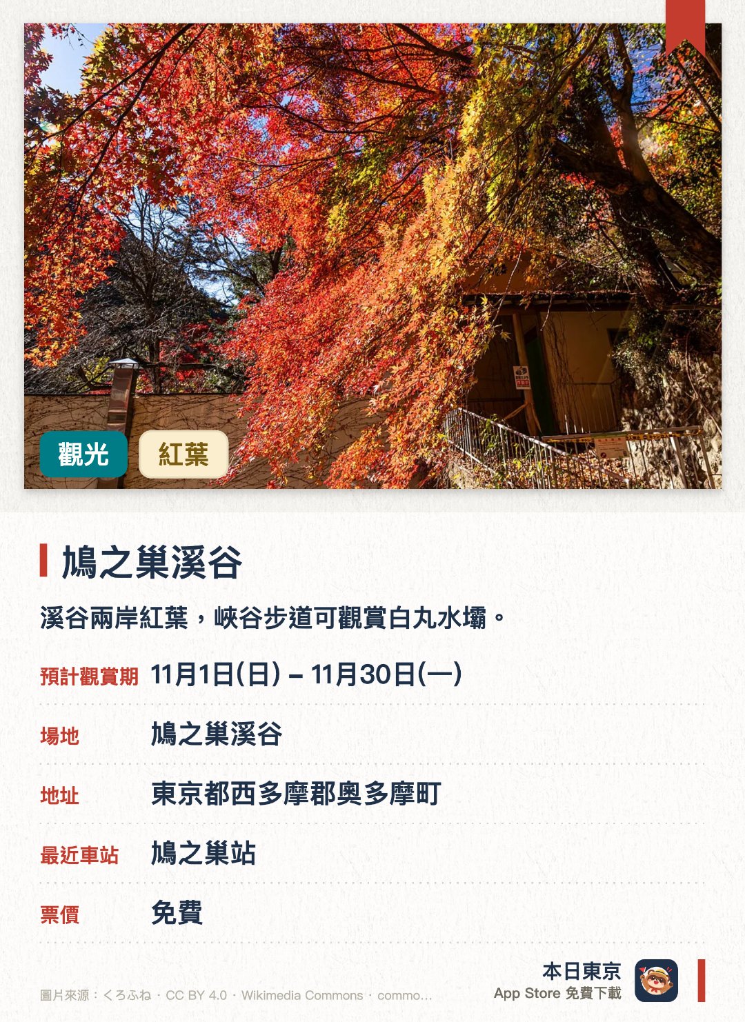 鳩之巢溪谷。11月1日–11月30日 · 鳩之巢溪谷。溪谷兩岸紅葉，峽谷步道可觀賞白丸水壩。。魚道開放日期需確認。
