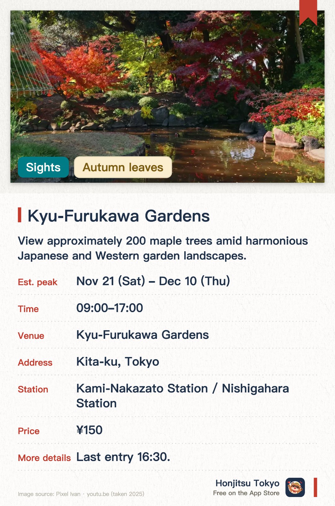 Kyu-Furukawa Gardens. 21 Nov–10 Dec · Kyu-Furukawa Gardens. View approximately 200 maple trees amid harmonious Japanese and Western garden landscapes.. Matcha available at the teahouse during autumn for viewing maples while sipping tea.