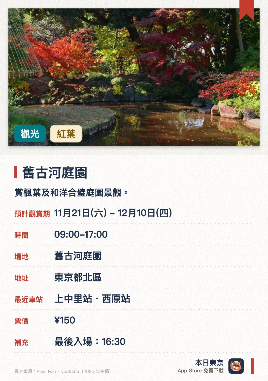 舊古河庭園。11月21日–12月10日 · 舊古河庭園。賞楓葉及和洋合璧庭園景觀。。秋季茶室供應抹茶，可邊賞楓邊品茶。