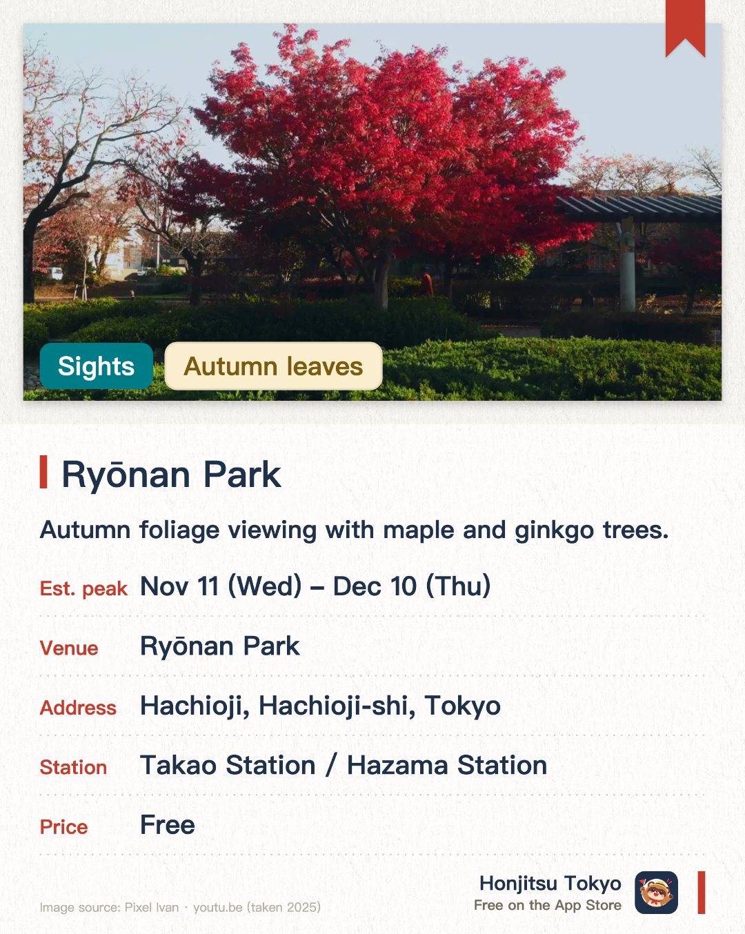 Ryōnan Park. 11 Nov–10 Dec · Ryōnan Park. Autumn foliage viewing with maple and ginkgo trees.. Ginkgo festival held mid-November; parking unavailable Nov 12-17.