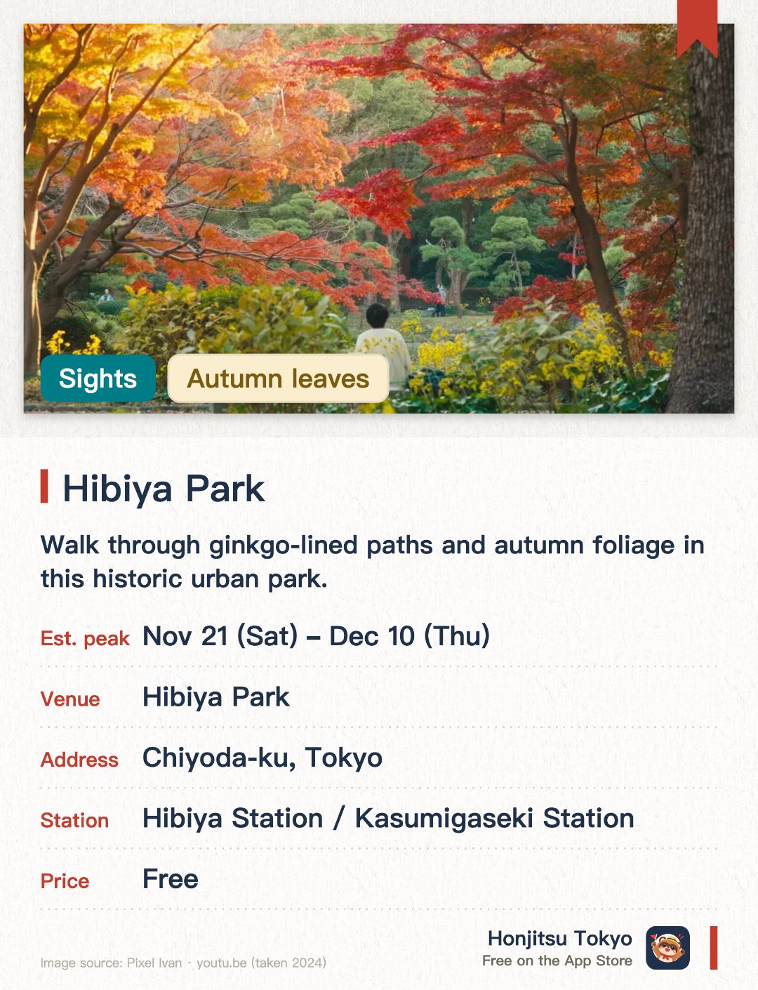 Hibiya Park. 21 Nov–10 Dec · Hibiya Park. Walk through ginkgo-lined paths and autumn foliage in this historic urban park.. The park features one of Japan's oldest decorative fountains shaped like a crane.