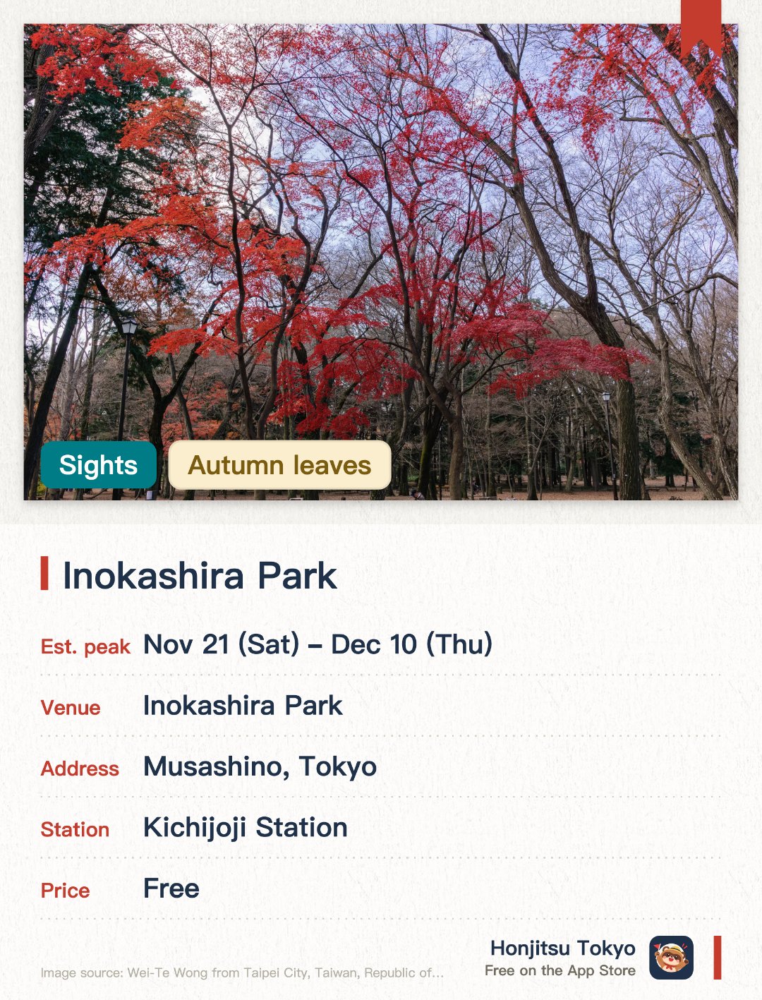 Inokashira Park. 21 Nov–10 Dec · Inokashira Park