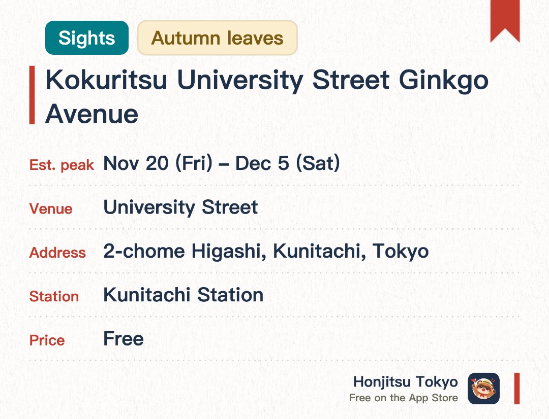 Kokuritsu University Street Ginkgo Avenue. 20 Nov–5 Dec · University Street