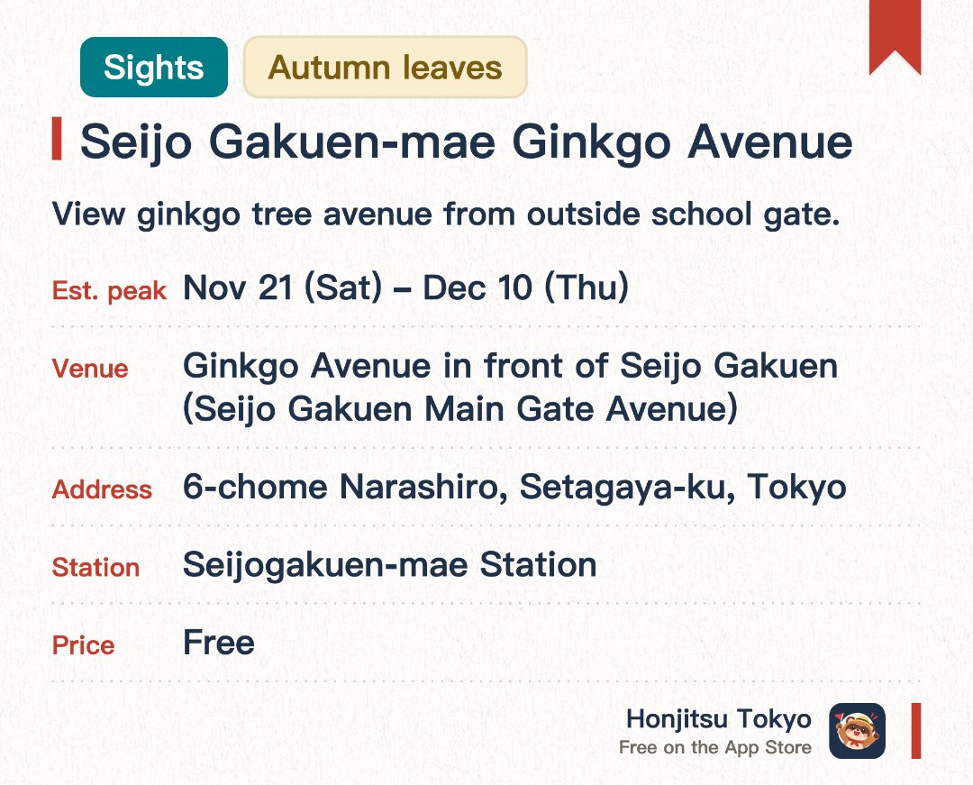 Seijo Gakuen-mae Ginkgo Avenue. 21 Nov–10 Dec · Ginkgo Avenue in front of Seijo Gakuen (Seijo Gakuen Main Gate Avenue). View ginkgo tree avenue from outside school gate.