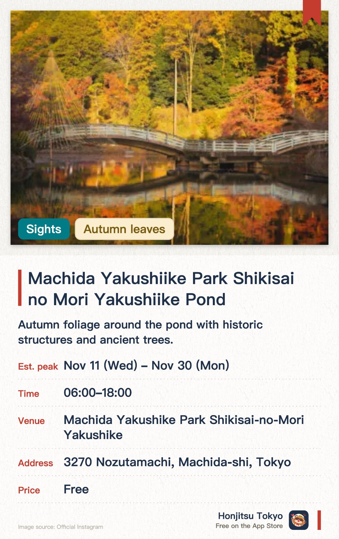 Machida Yakushiike Park Shikisai no Mori Yakushiike Pond. 11 Nov–30 Nov · Machida Yakushike Park Shikisai-no-Mori Yakushike. Autumn foliage around the pond with historic structures and ancient trees.. Nearby 500-year-old ginkgo tree visible across the pond in golden hues.. Evening light-up Nov 14–29, 17:00–20:00.